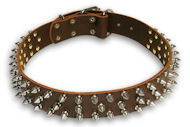 Exclusive Doberman Brown dog collar 18 inch/18'' collar-S44 Exclusive Doberman Brown dog collar 18 inch/18'' collar-S44