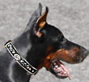 Doberman Dog Collar, leather dog collar, training dog collar Doberman Dog Collars