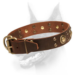   Genuine Leather Collar with Cupped rivets