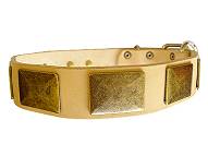 Handcrafted Leather Dog Collar With Vintage Massive Plates Handcrafted Leather Dog Collar With Vintage Massive Plates