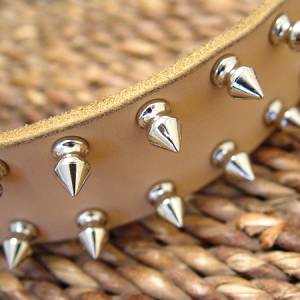 doberman collar
