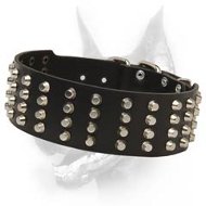 Superb Studded Leather Dog Collar-Wide Dog Collar With Gorgeous Pyramids  Superb Studded Leather Dog Collar-Wide Dog Collar With Gorgeous Pyramids