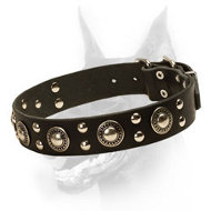 'Rock n Roll' Doberman Dog Collar with Metal Decoration  'Rock n Roll' Doberman Dog Collar with Metal Decoration