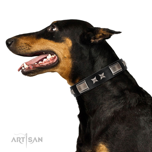 Daily use top rate leather dog collar with embellishments
