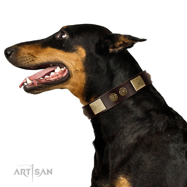 Basic training dog collar of genuine leather with stylish decorations