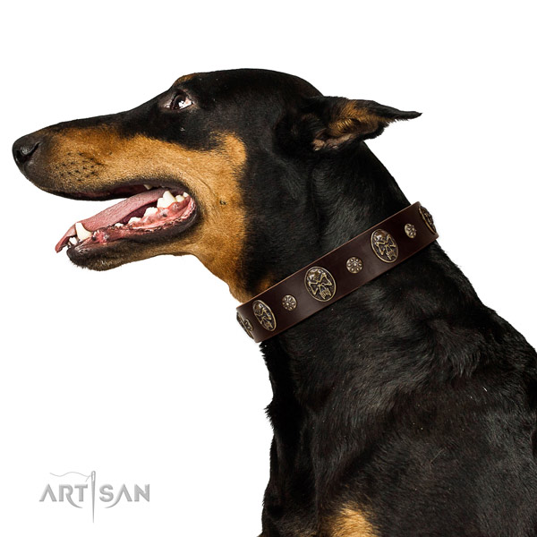 Daily use dog collar of genuine leather with incredible studs