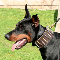 Doberman Collars-Doberman Leather collars,Doberman spiked collars ...