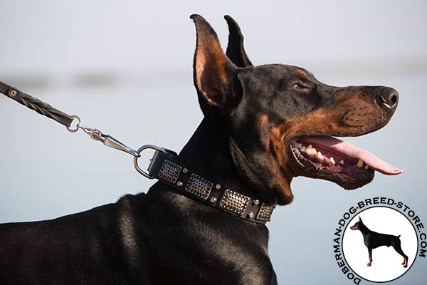 Trendy Doberman collar with nickel plated decorations