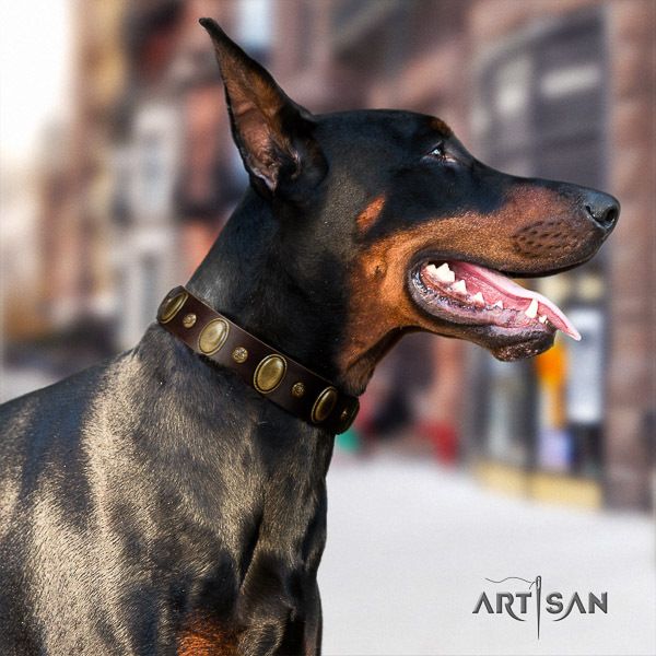 Doberman handy use full grain natural leather dog collar with adornments
