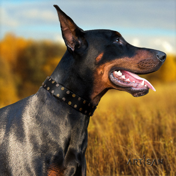 Doberman comfortable wearing natural genuine leather dog collar with studs