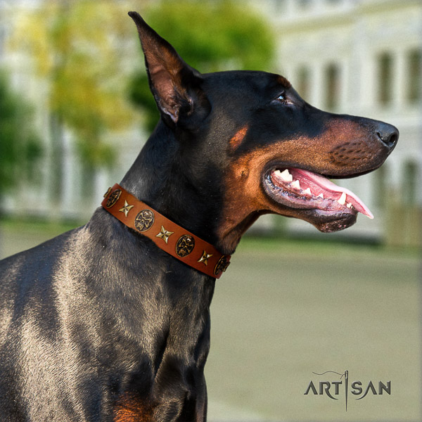 Doberman handy use genuine leather dog collar with studs
