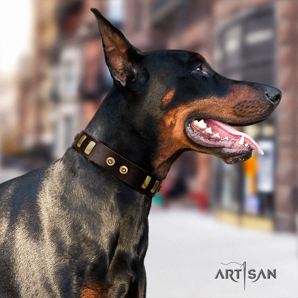 Doberman comfortable wearing leather dog collar with decorations