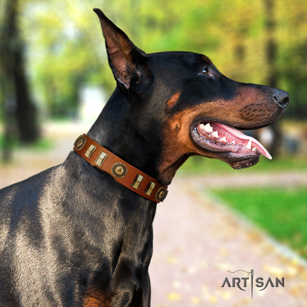 Doberman everyday walking full grain natural leather dog collar with embellishments