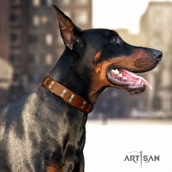 Doberman stylish walking genuine leather dog collar with adornments