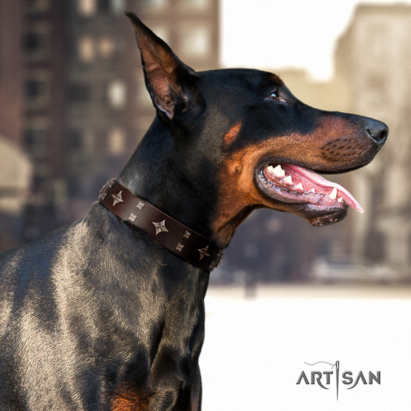 Doberman genuine leather dog collar with adornments for daily use