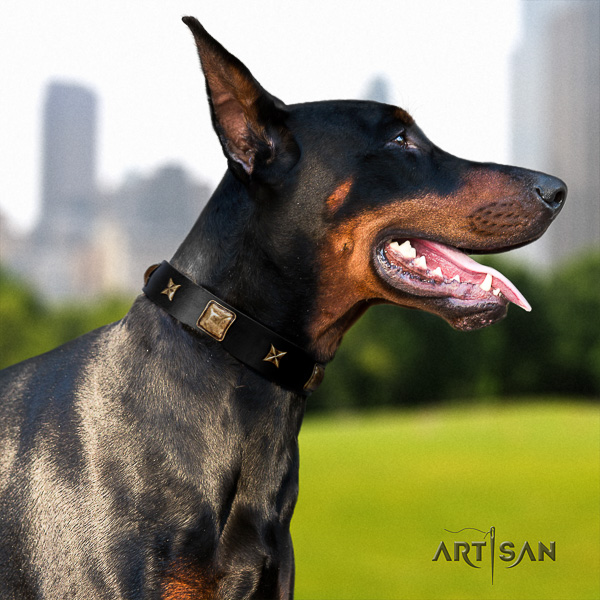 Doberman comfortable wearing full grain natural leather dog collar with decorations