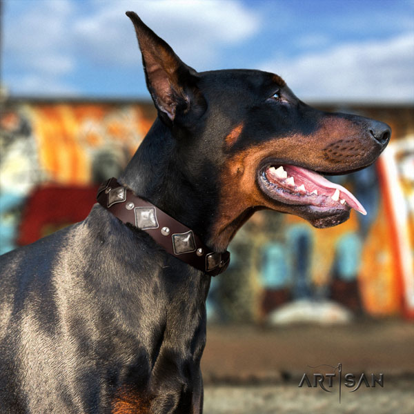 Doberman fashionable leather collar with embellishments for your canine
