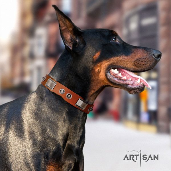 Doberman extraordinary natural genuine leather collar with embellishments for your dog