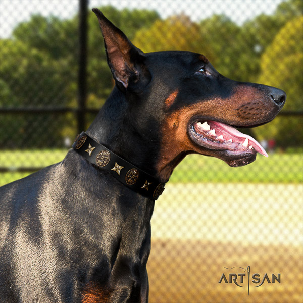 Doberman handy use full grain leather dog collar with adornments