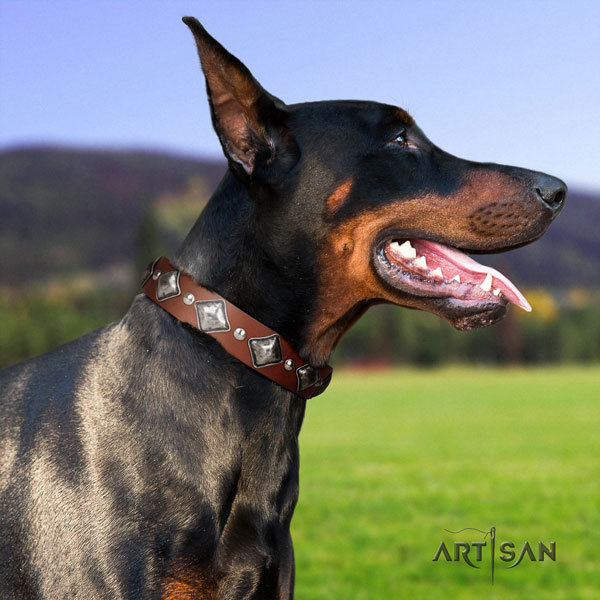 Doberman handmade full grain leather collar with decorations for your dog