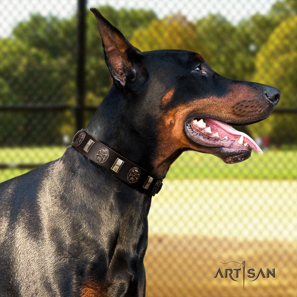 Doberman everyday use full grain leather dog collar with embellishments