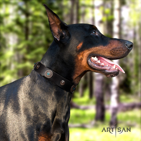 Doberman genuine leather dog collar with embellishments for walking