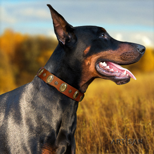 Doberman walking natural genuine leather dog collar with adornments