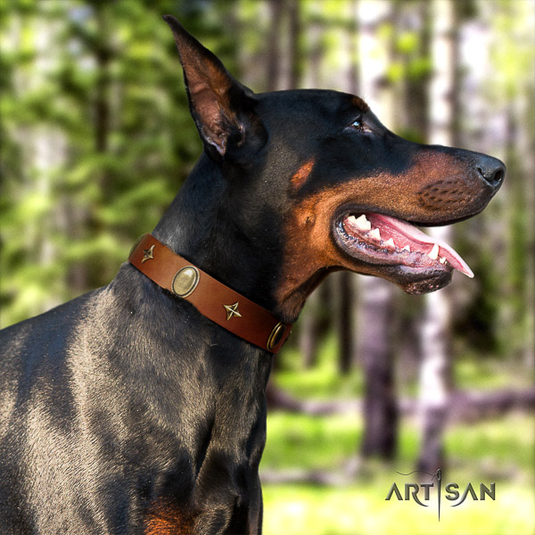 Doberman daily walking leather dog collar with adornments