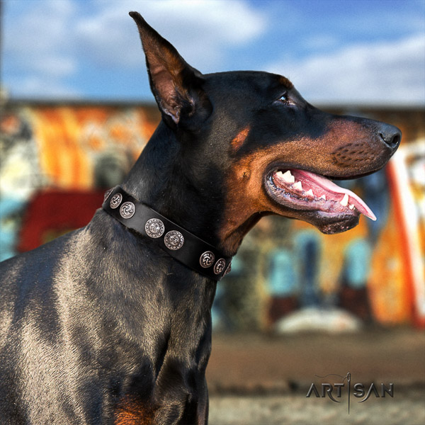 Doberman leather dog collar with decorations for easy wearing