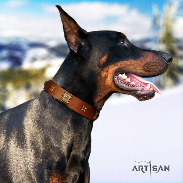 Doberman basic training full grain leather dog collar with decorations