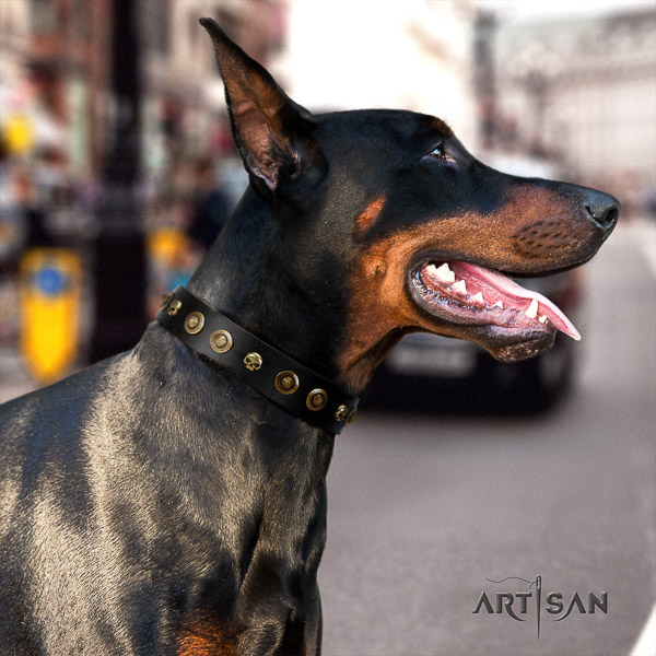 Doberman daily walking full grain genuine leather dog collar with embellishments