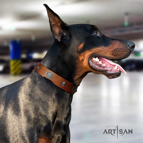 Doberman genuine leather dog collar with studs for stylish walking
