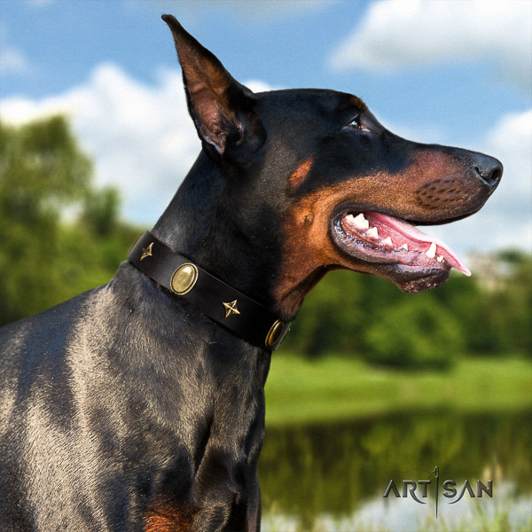 Doberman comfortable wearing full grain natural leather dog collar with adornments