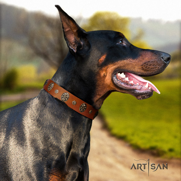 Doberman stylish walking leather dog collar with adornments