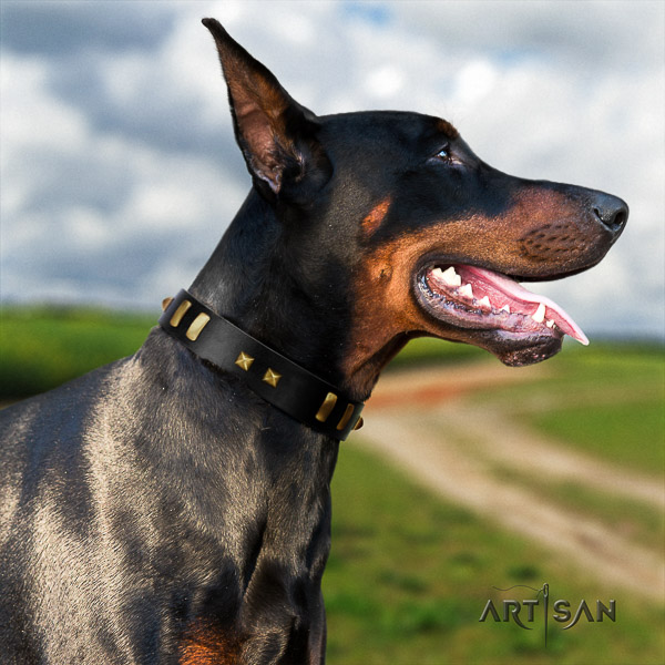 Doberman comfy wearing full grain leather dog collar with adornments