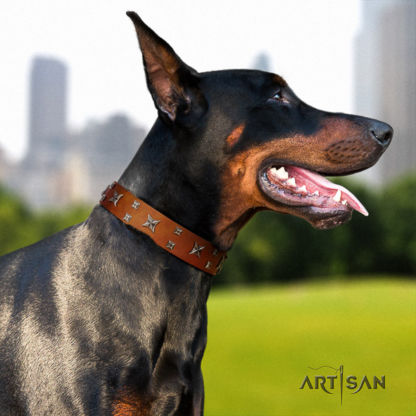 Doberman full grain leather dog collar with decorations for daily use