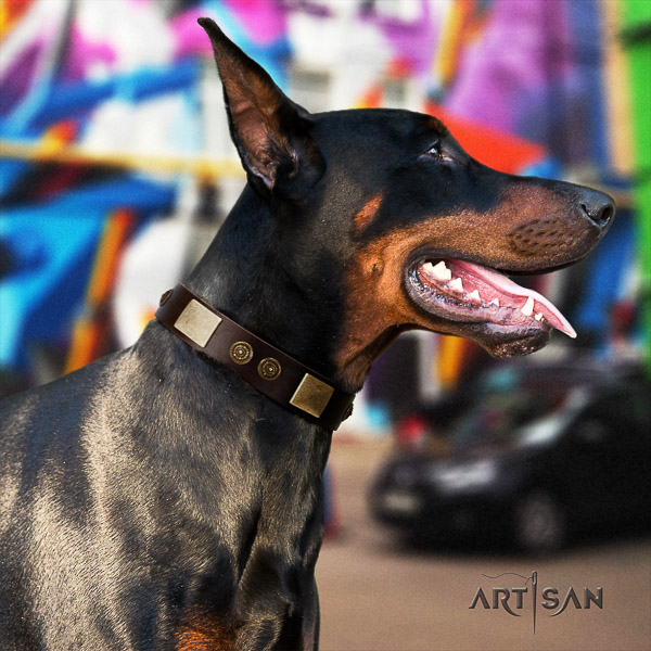 Doberman walking full grain genuine leather dog collar with decorations