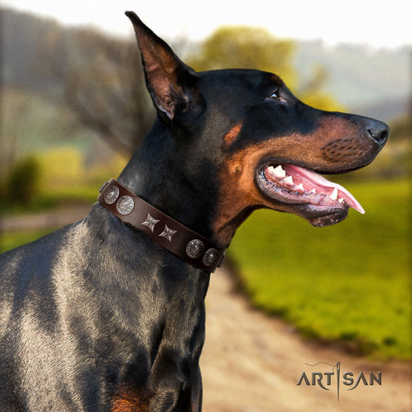 Doberman full grain genuine leather dog collar with embellishments for your stylish doggie