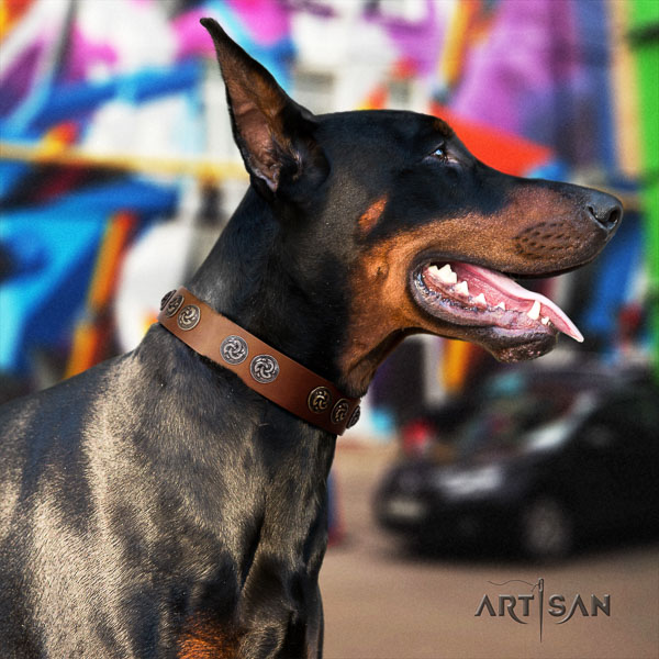 Doberman leather dog collar with decorations for your beautiful canine