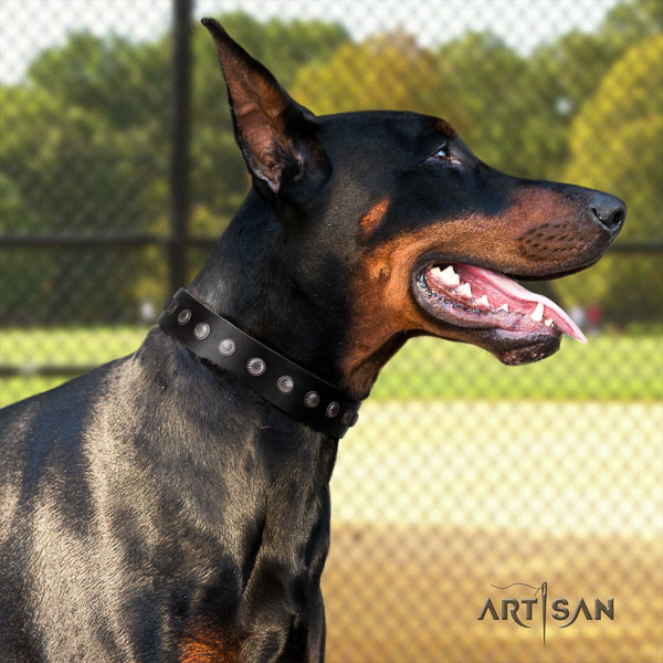 Doberman full grain natural leather dog collar with studs for your lovely pet