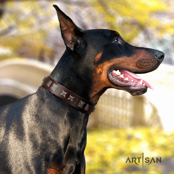 Doberman full grain natural leather dog collar with embellishments for your handsome dog
