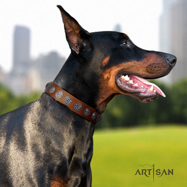 Doberman genuine leather dog collar with adornments for your handsome four-legged friend
