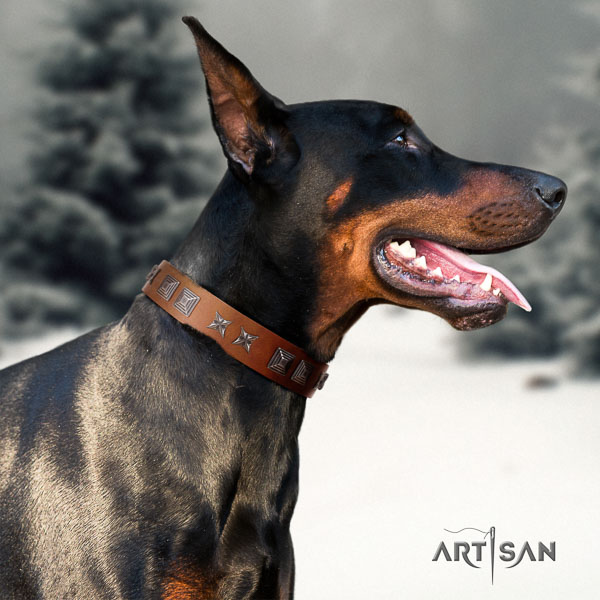 Doberman full grain natural leather dog collar with studs for your stylish doggie