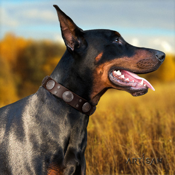 Doberman natural genuine leather dog collar with adornments for your stylish pet