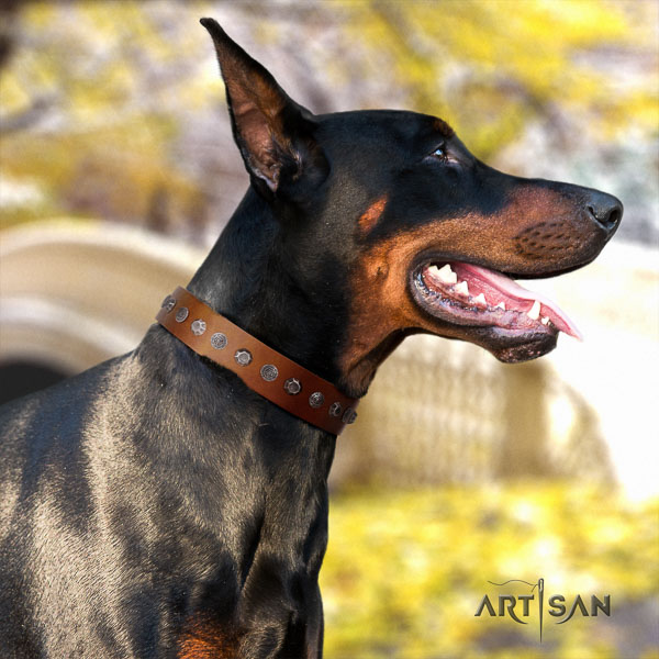 Doberman natural genuine leather dog collar with adornments for your handsome canine