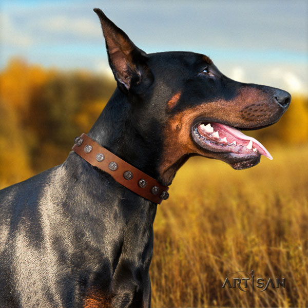Doberman leather dog collar with adornments for your impressive pet