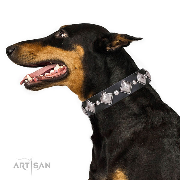 Doberman trendy genuine leather dog collar for daily walking