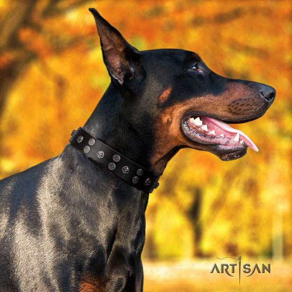 Doberman leather dog collar with embellishments for your handsome pet
