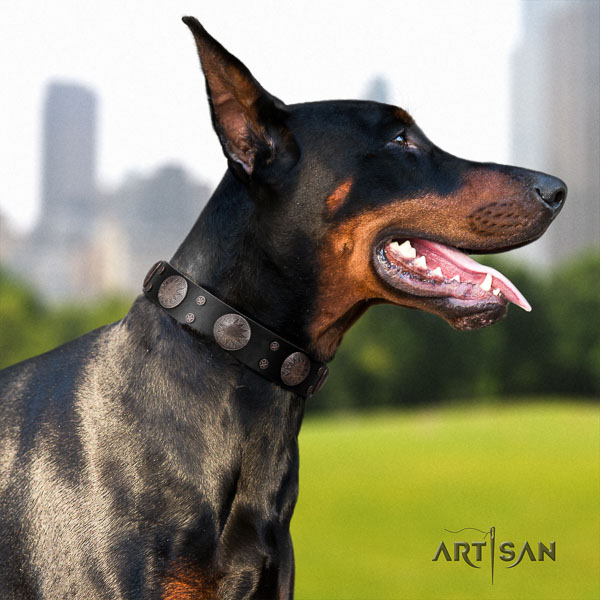 Doberman natural genuine leather dog collar with decorations for your impressive doggie