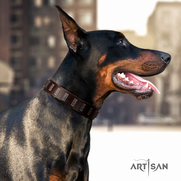 Doberman full grain leather dog collar with decorations for your lovely pet